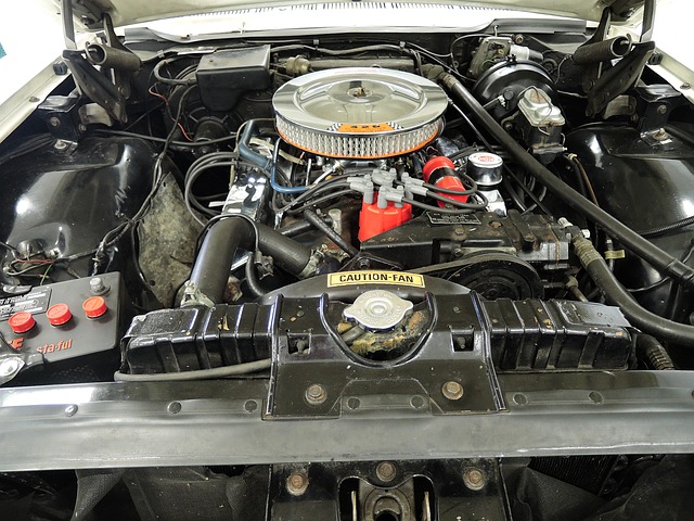 67 Ford engine